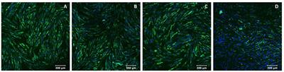 Use of Biologically Active 3D Matrix for Extensive Skin Defect Treatment in Veterinary Practice: Case Report